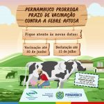 PRAZO DE VACINAÇÃO DO REBANHO CONTRA A FEBRE AFTOSA EM PERNAMBUCO VAI ATÉ 30 DE JUNHO, AGORA É ATÉ 15 DE JULHO.