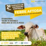INICIAMOS A SEGUNDA ETAPA DA CAMPANHA DE VACINAÇÃO CONTRA A FEBRE AFTOSA.